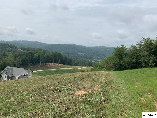 Lot A-b 11 Mountain Way Sharps Chapel TN 37866