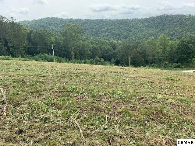 Lot A-b 11 Mountain Way Sharps Chapel TN 37866