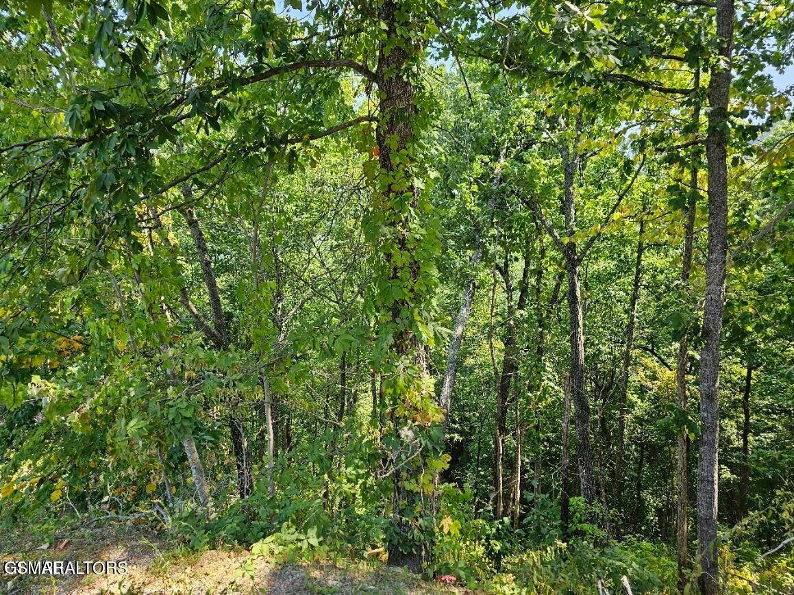 Lot 13-ar Villa Ridge Place Sevierville TN 37862
