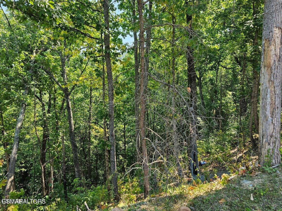 Lot 13-ar Villa Ridge Place Sevierville TN 37862