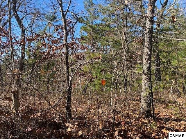 Lot 71 Poplar Place Sevierville TN 37876