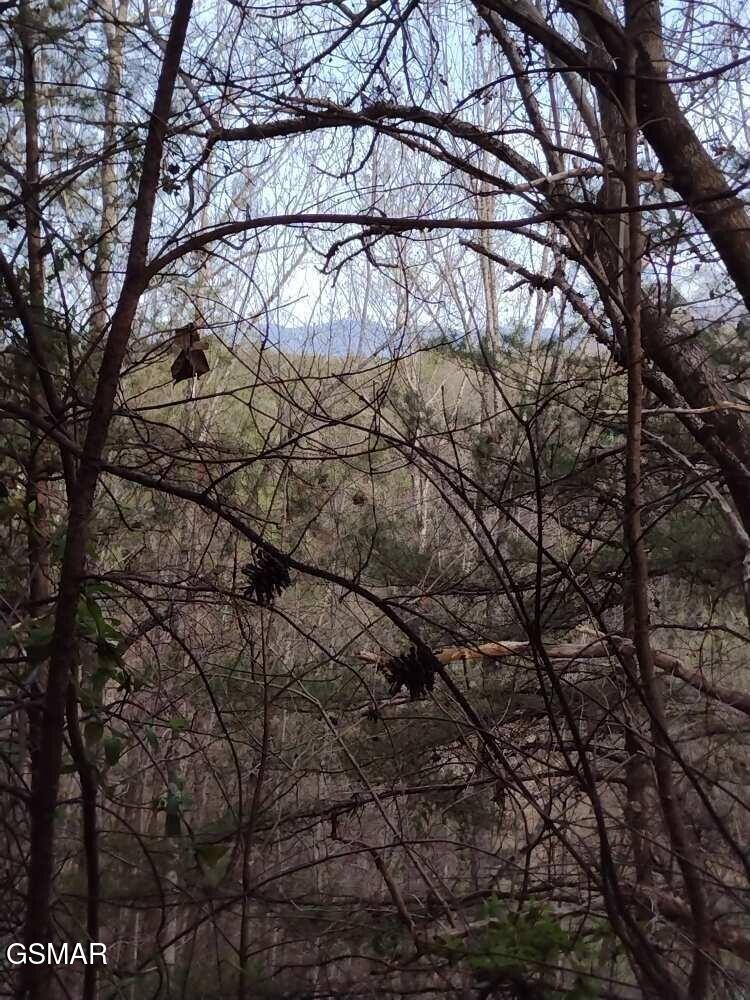 Lot 0000 Ogle Drive Pigeon Forge TN 37863