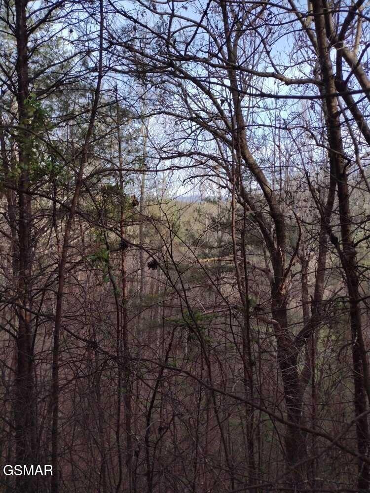 Lot 0000 Ogle Drive Pigeon Forge TN 37863