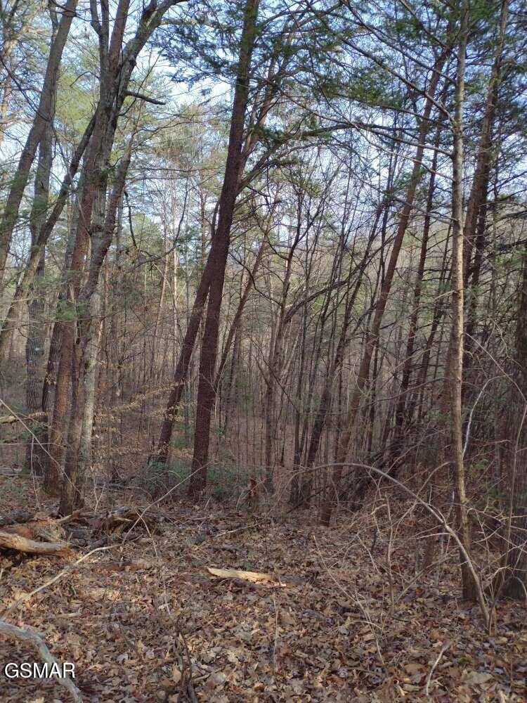 Lot 0000 Ogle Drive Pigeon Forge TN 37863