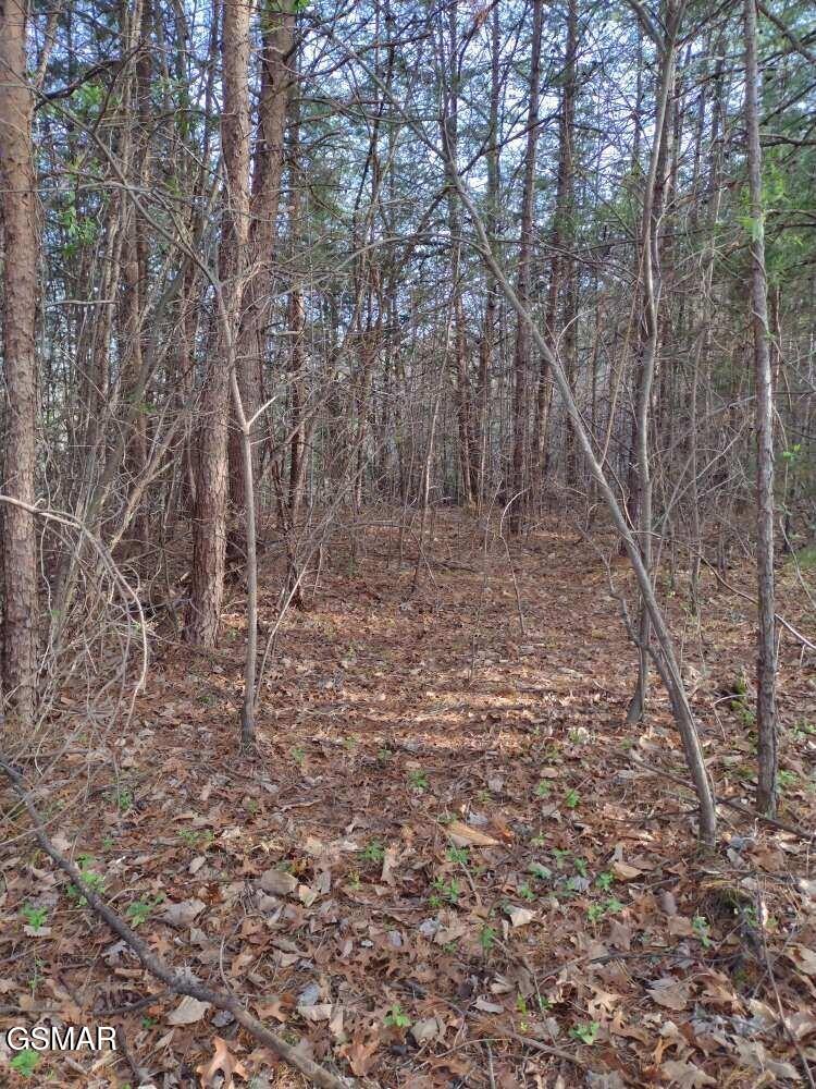 Lot 0000 Ogle Drive Pigeon Forge TN 37863