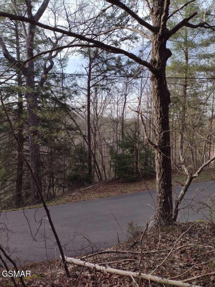 Lot 0000 Ogle Drive Pigeon Forge TN 37863