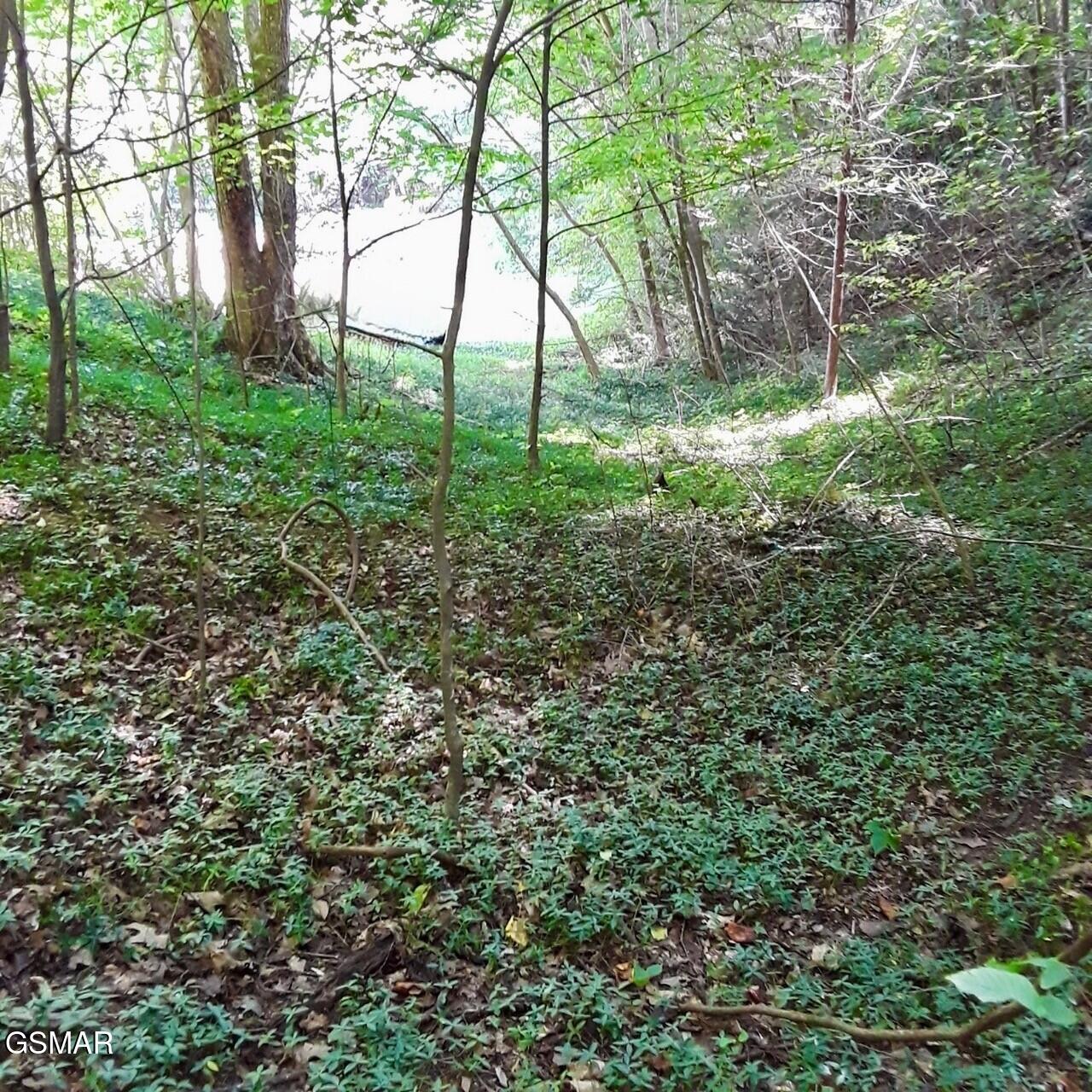 Lot 0000 Ogle Drive Pigeon Forge TN 37863
