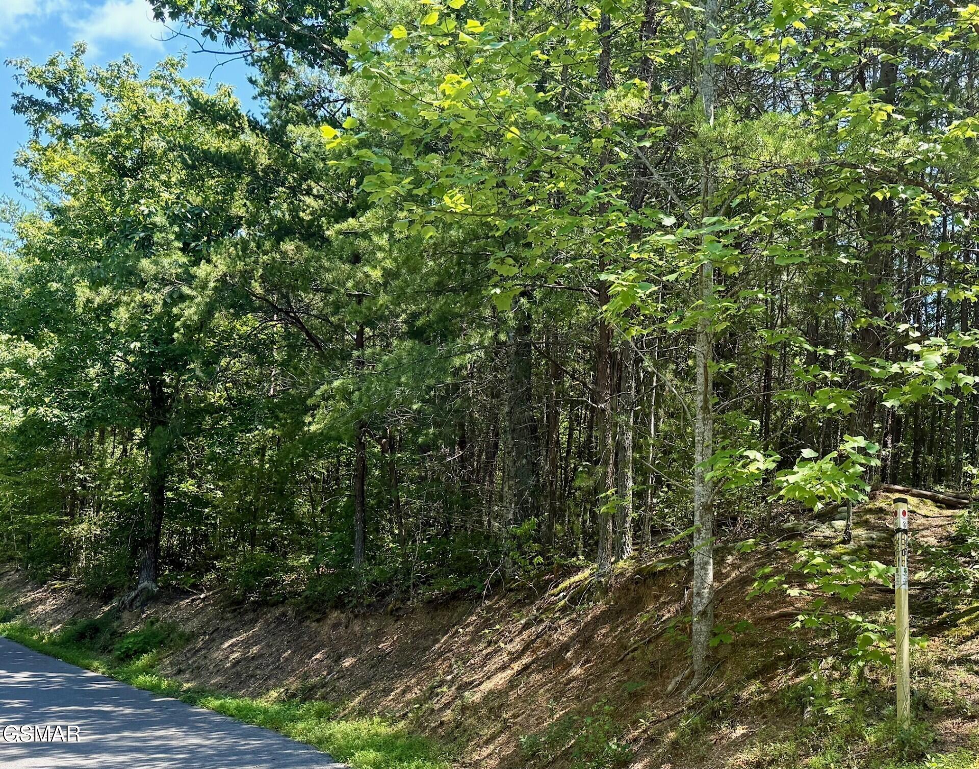 Lot 0000 Ogle Drive Pigeon Forge TN 37863