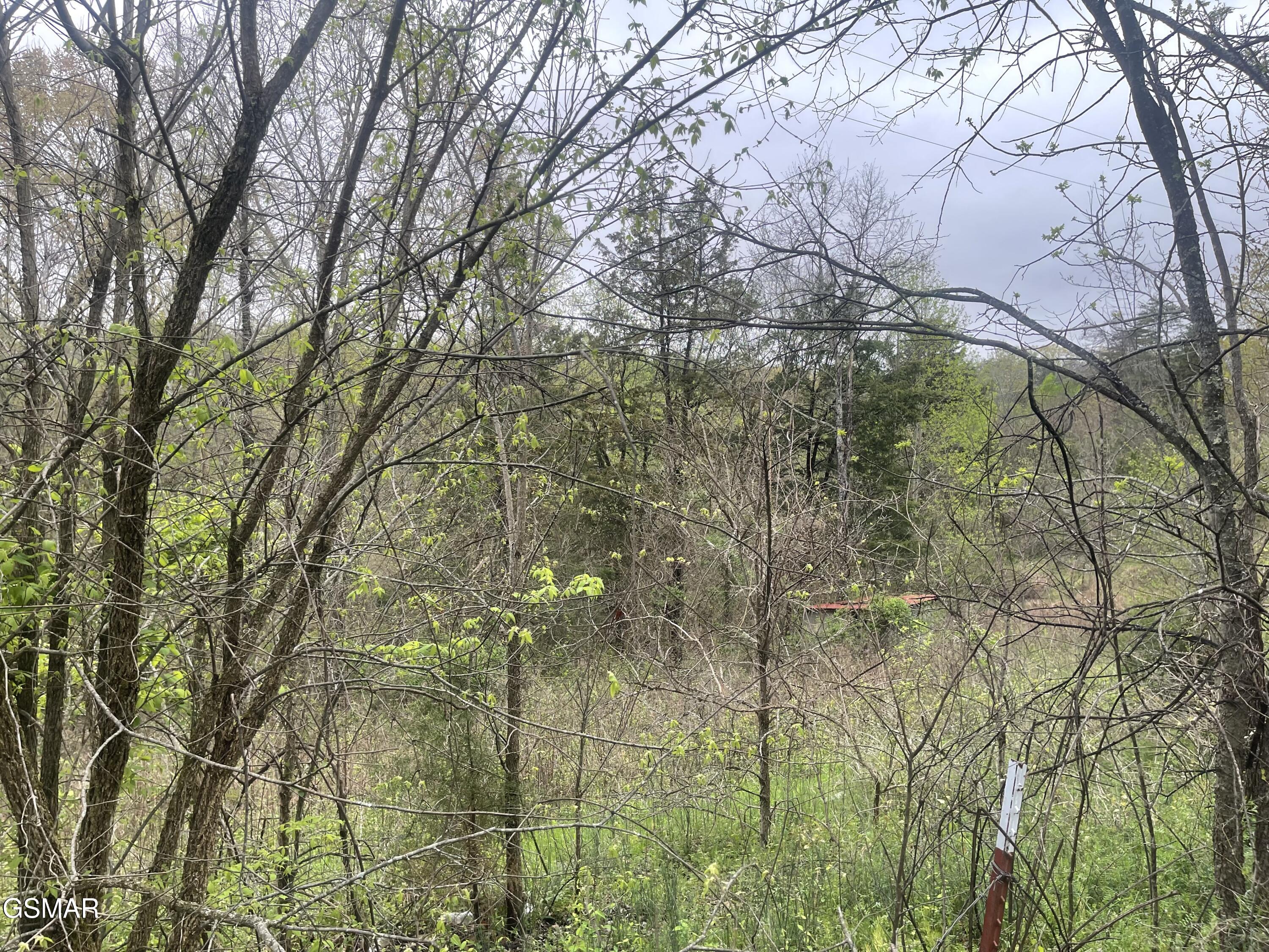 952 Stokes Valley Way Parrottsville TN 37843