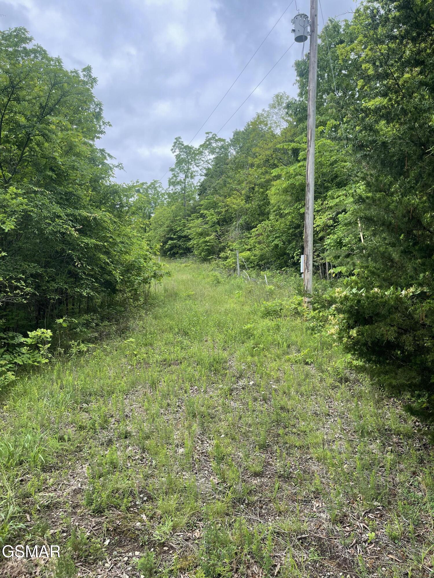 952 Stokes Valley Way Parrottsville TN 37843