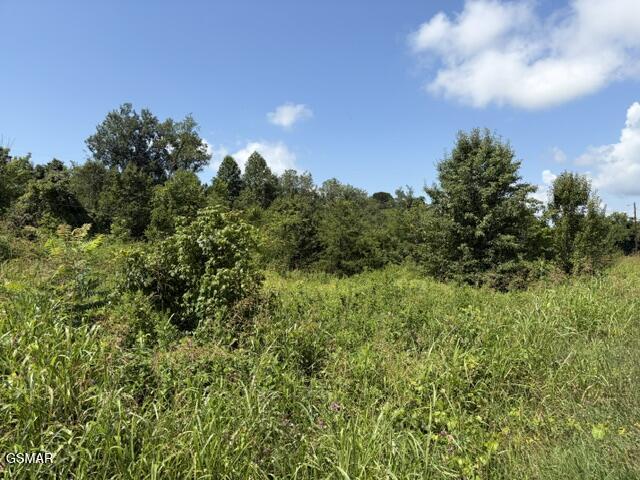 615 Green Hill Road Dandridge TN 37725
