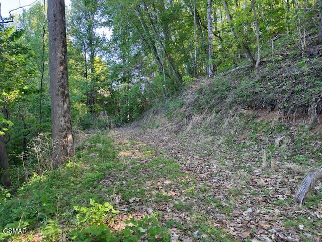 Lot 13 Dove View Road Sevierville TN 37862