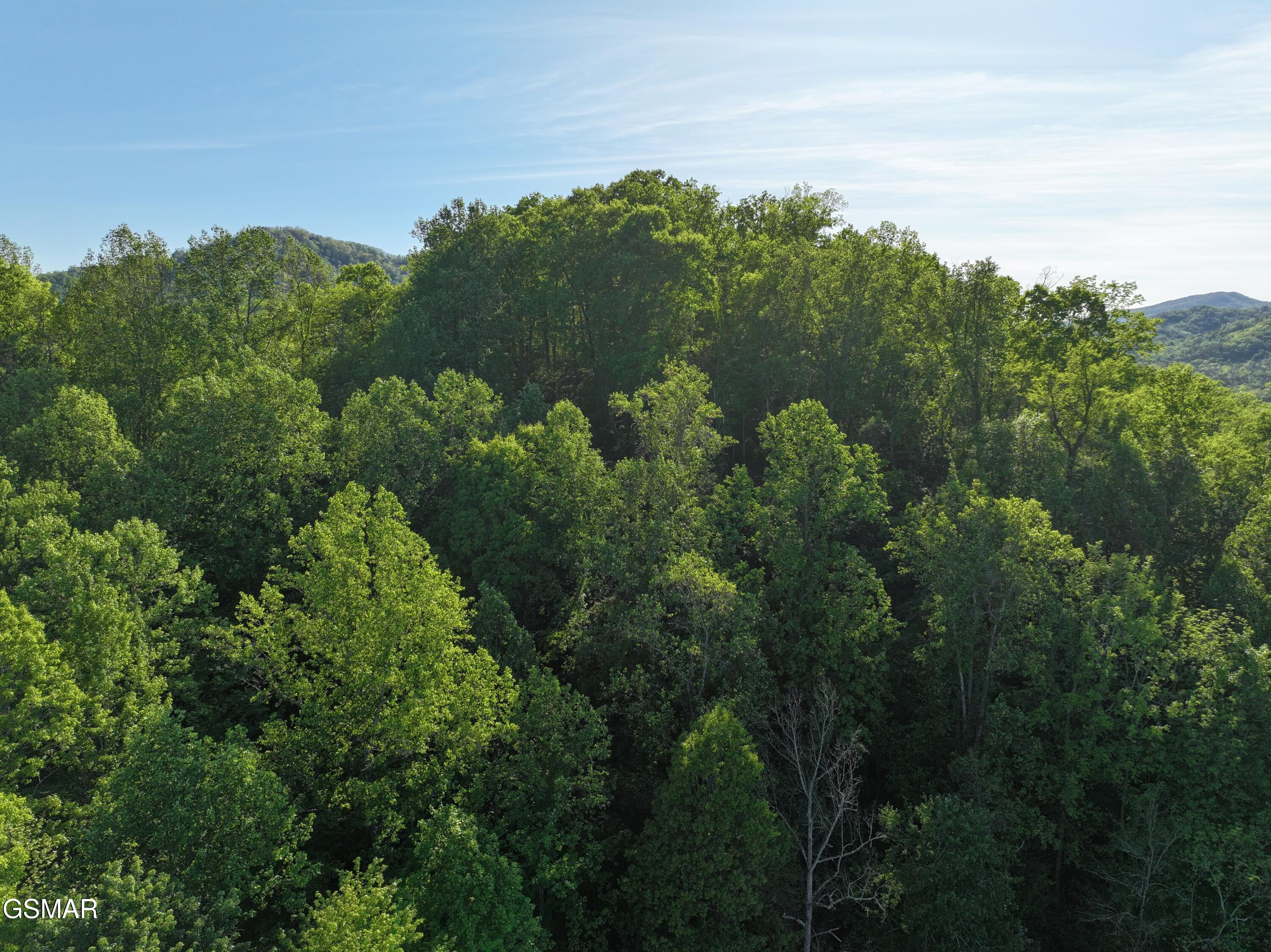 Lot 13 Dove View Road Sevierville TN 37862