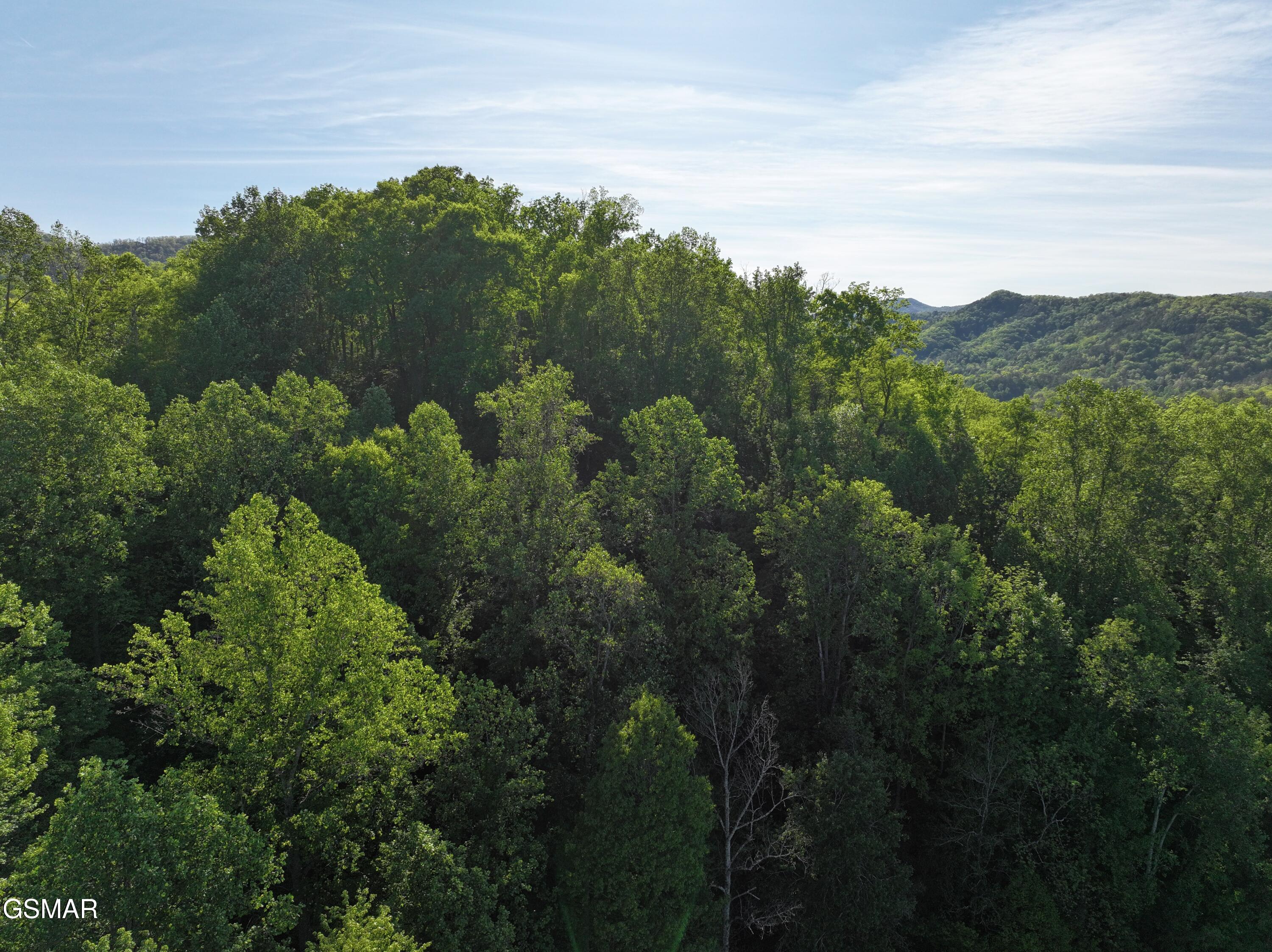 Lot 13 Dove View Road Sevierville TN 37862