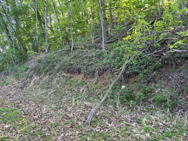 Lot 13 Dove View Road Sevierville TN 37862