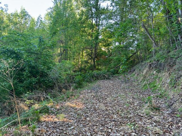 Lot 13 Dove View Road Sevierville TN 37862