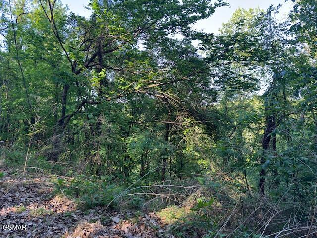 Lot 13 Dove View Road Sevierville TN 37862