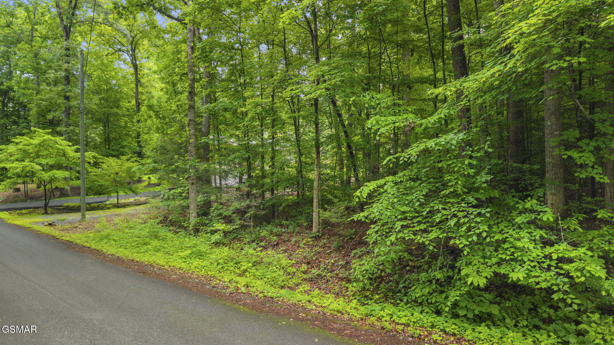 00 Peach Tree Street Sevierville TN 37862
