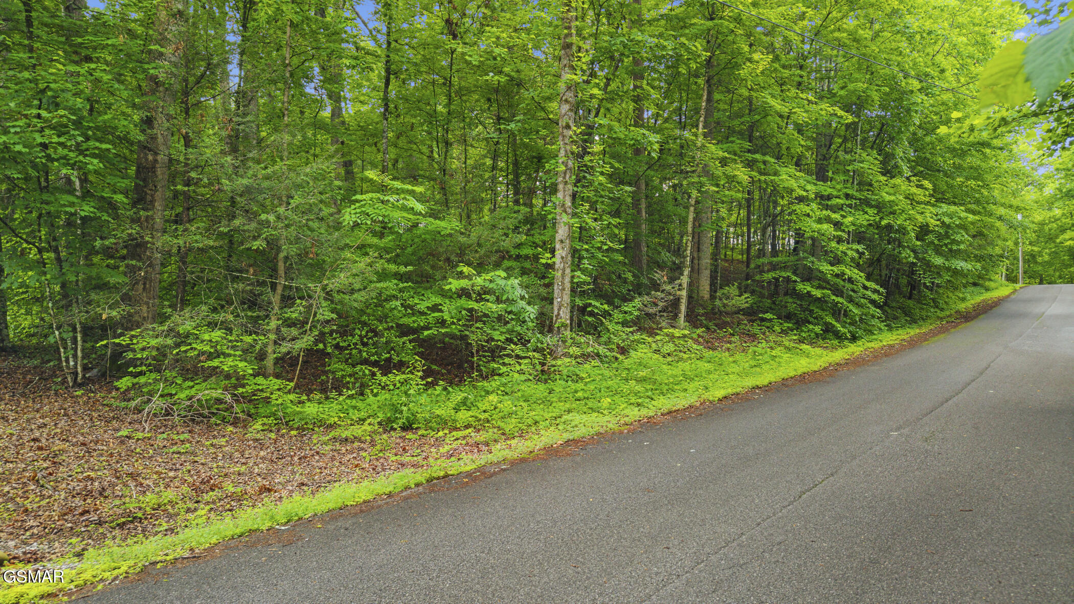 00 Peach Tree Street Sevierville TN 37862