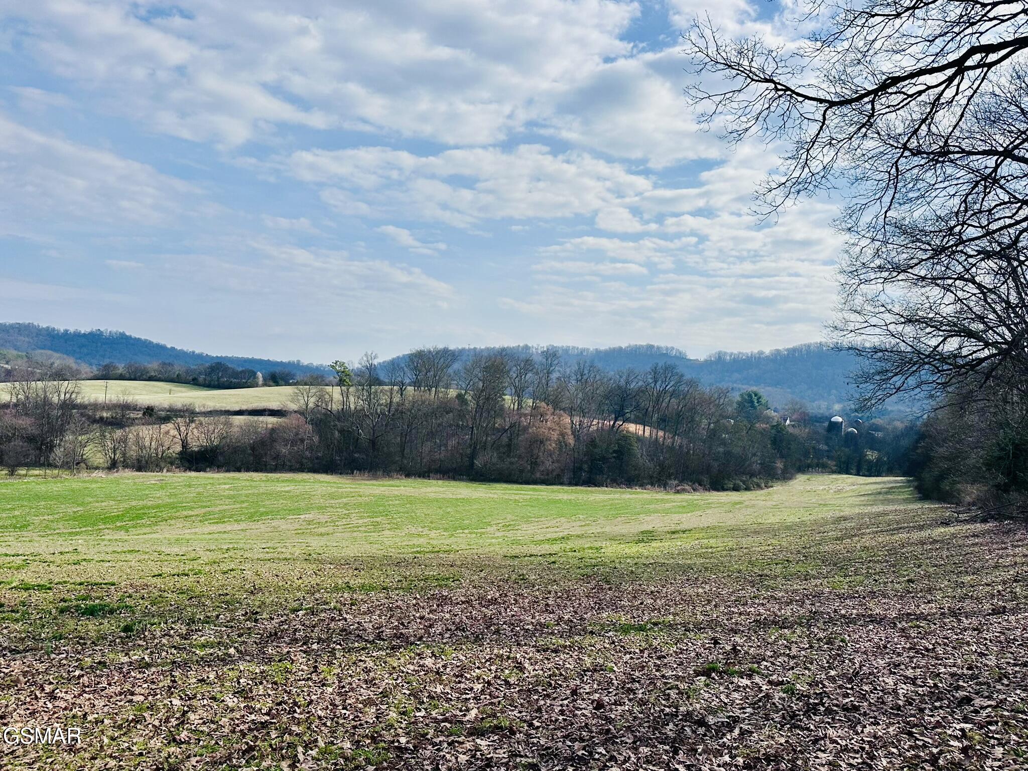 Lot 0 Mine Road New Market TN 37820