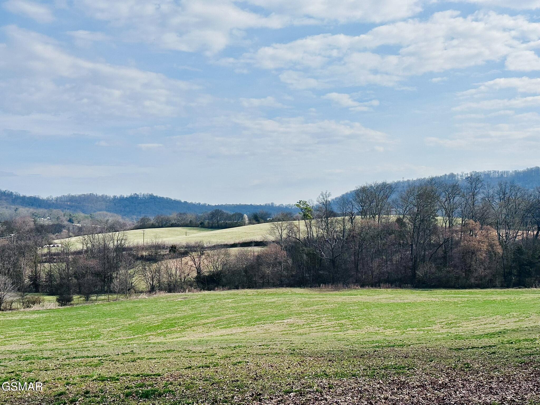 Lot 0 Mine Road New Market TN 37820