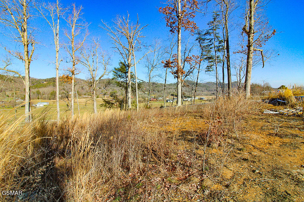 3246 Samuel Wear Drive Sevierville TN 37862
