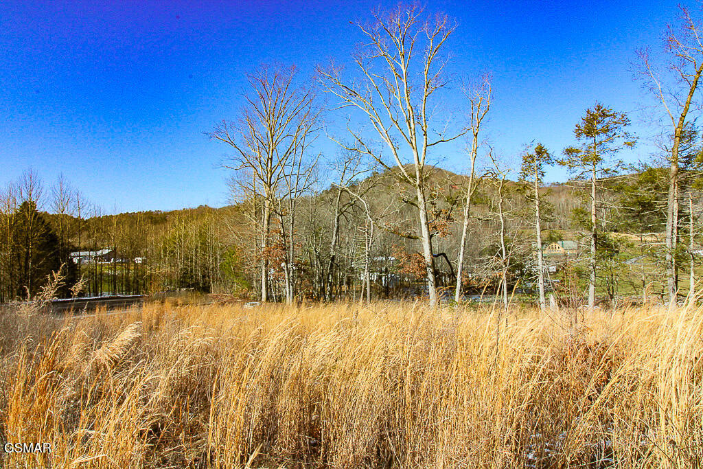 3246 Samuel Wear Drive Sevierville TN 37862