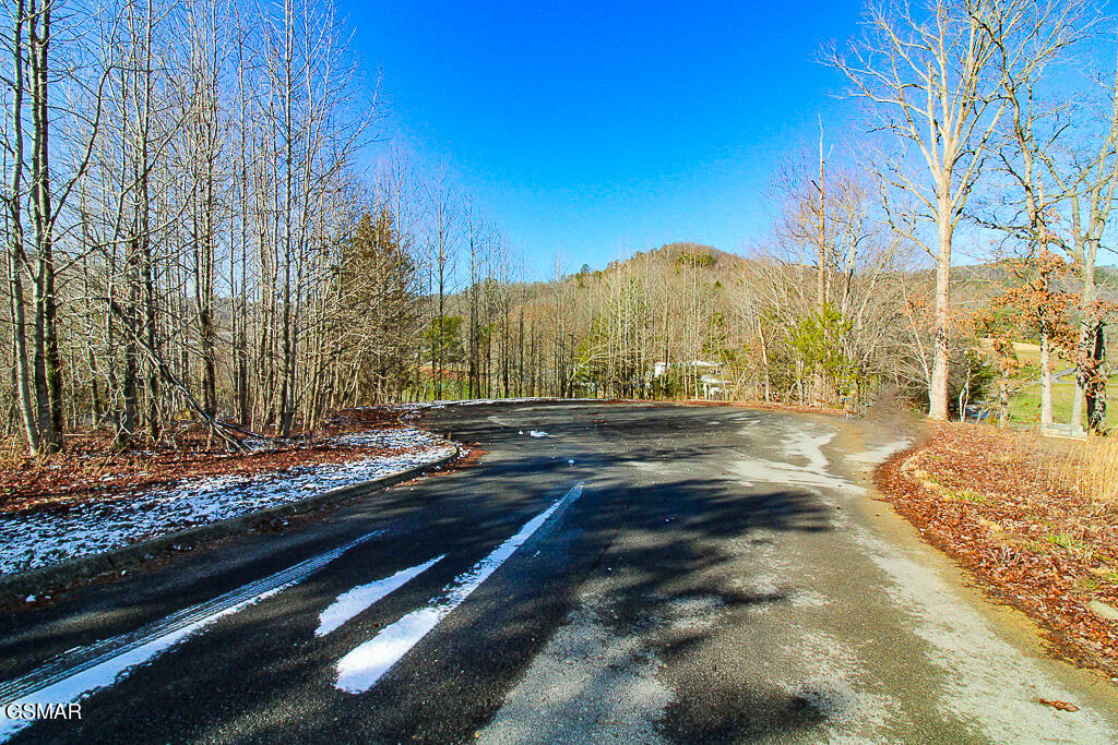3246 Samuel Wear Drive Sevierville TN 37862