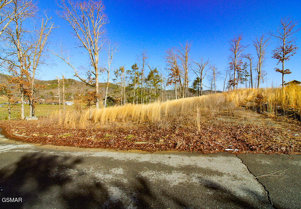 3246 Samuel Wear Drive Sevierville TN 37862