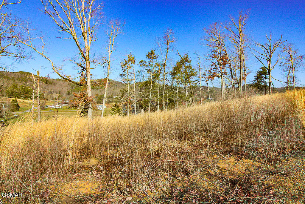 3246 Samuel Wear Drive Sevierville TN 37862
