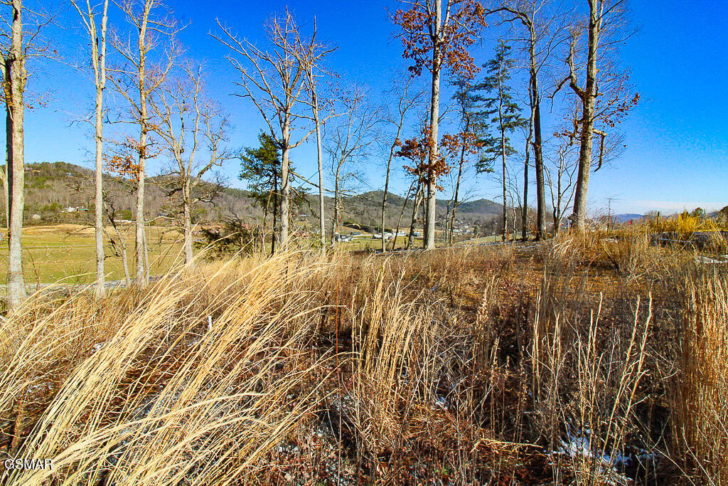 3246 Samuel Wear Drive Sevierville TN 37862