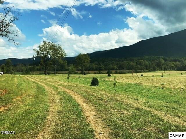 3557 Wears Valley Road Sevierville TN 37862