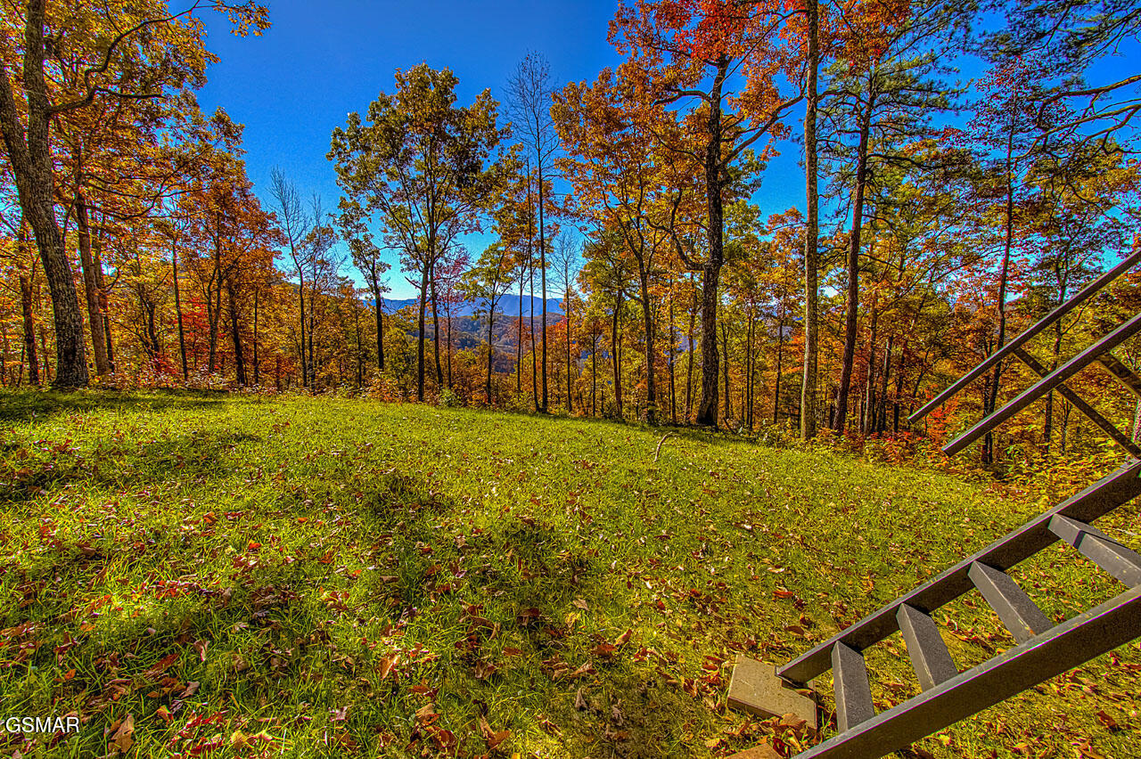 1968 E Millers Cove Road Walland TN 37886