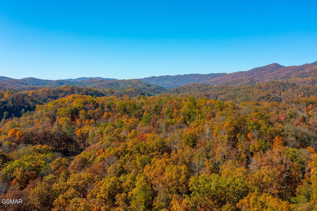 1968 E Millers Cove Road Walland TN 37886
