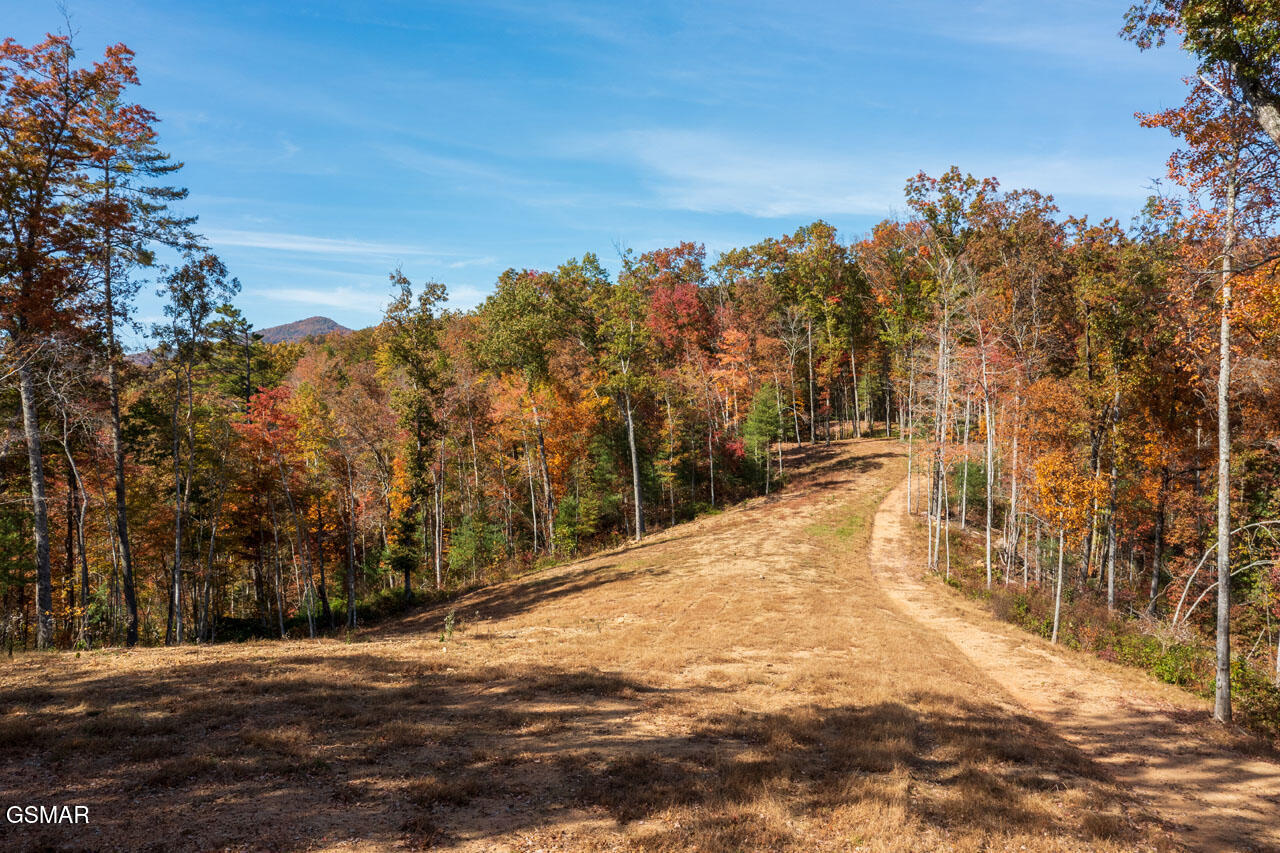 1968 E Millers Cove Road Walland TN 37886