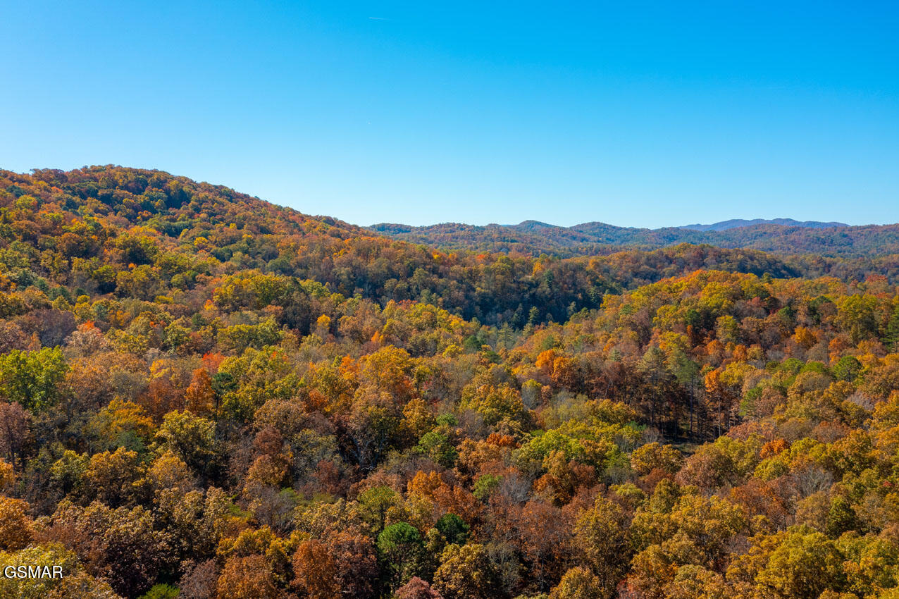 1968 E Millers Cove Road Walland TN 37886