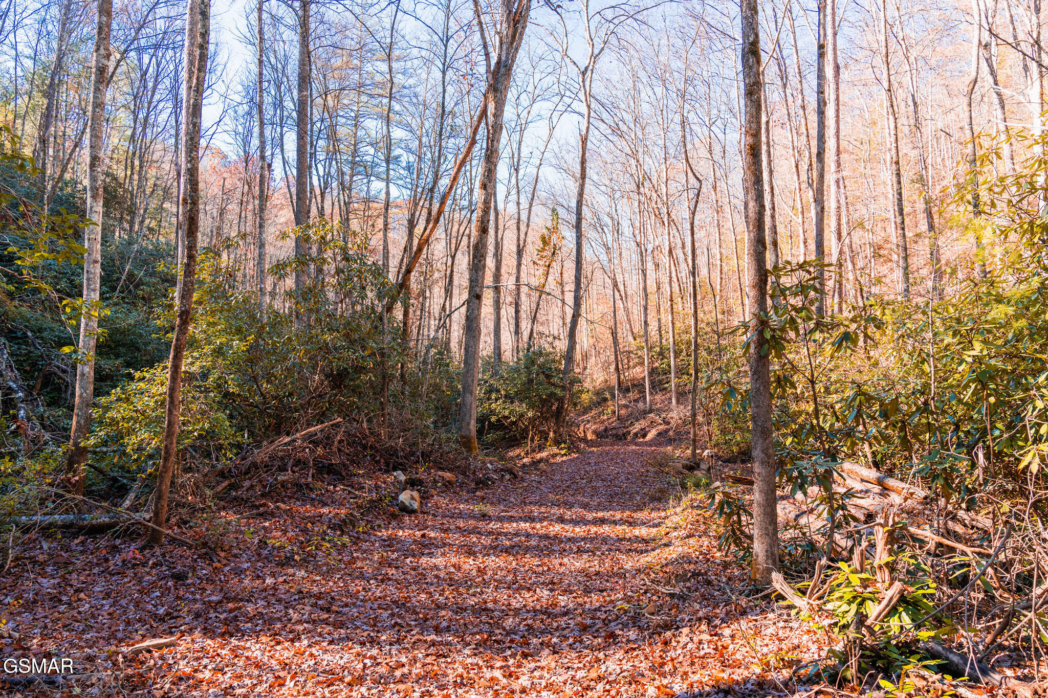 1968 E Millers Cove Road Walland TN 37886