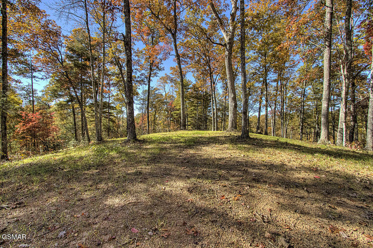 1968 E Millers Cove Road Walland TN 37886