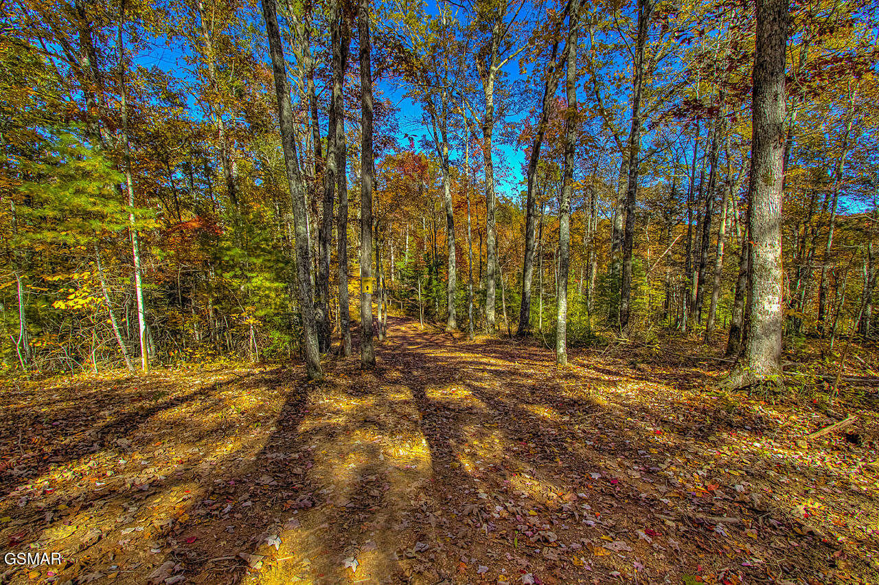 1968 E Millers Cove Road Walland TN 37886