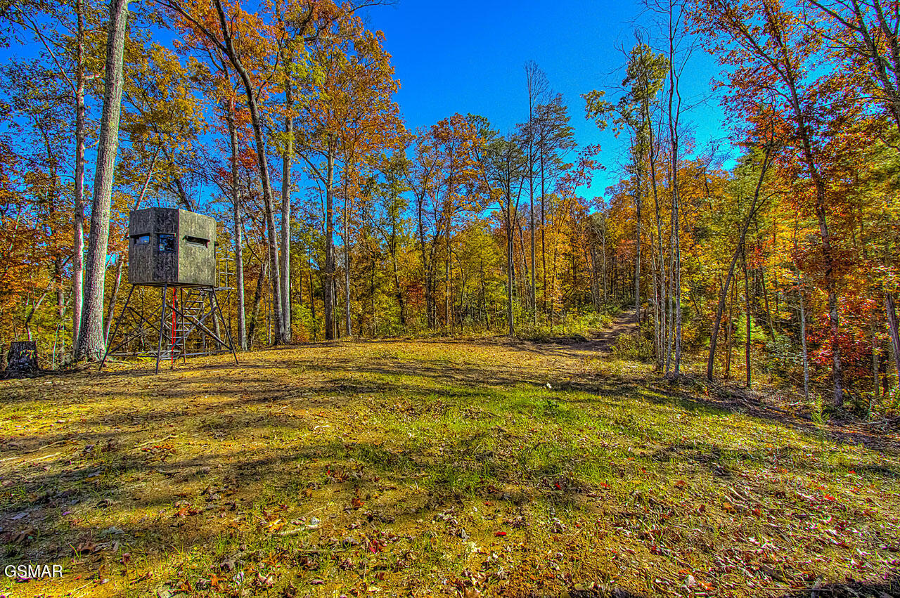 1968 E Millers Cove Road Walland TN 37886