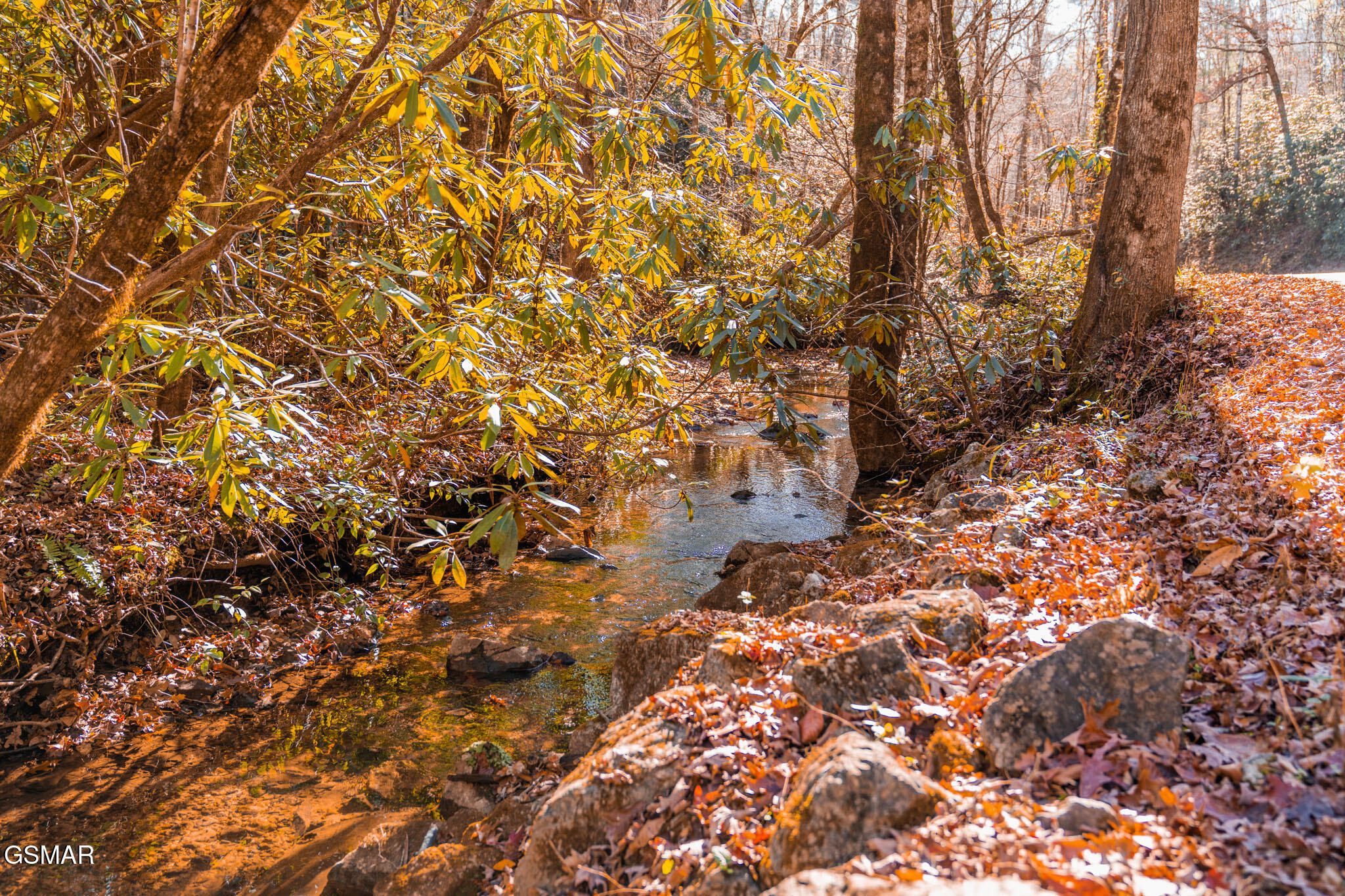1968 E Millers Cove Road Walland TN 37886