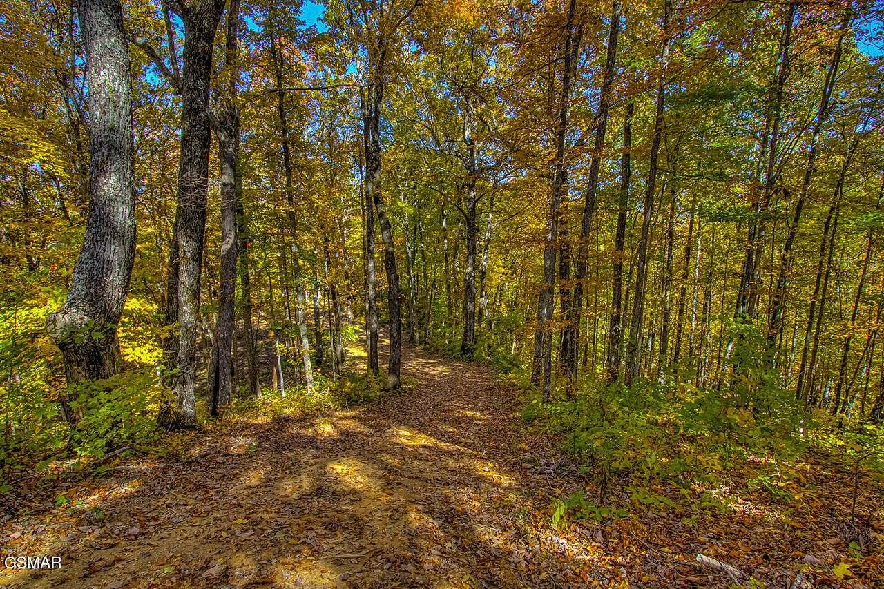 1968 E Millers Cove Road Walland TN 37886