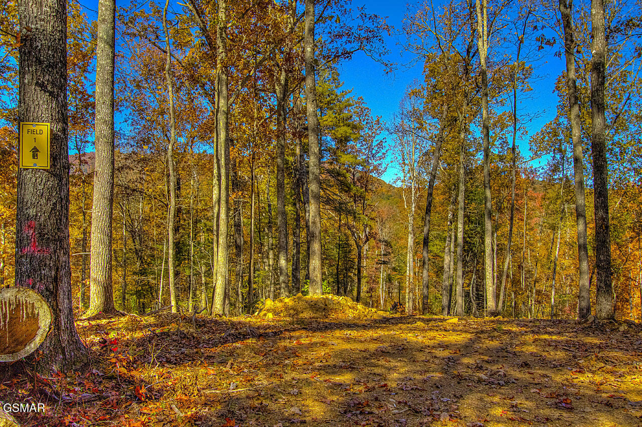 1968 E Millers Cove Road Walland TN 37886