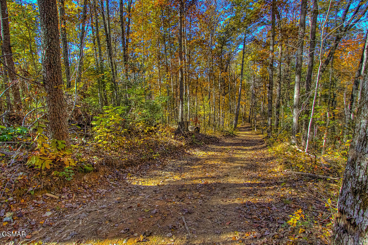 1968 E Millers Cove Road Walland TN 37886