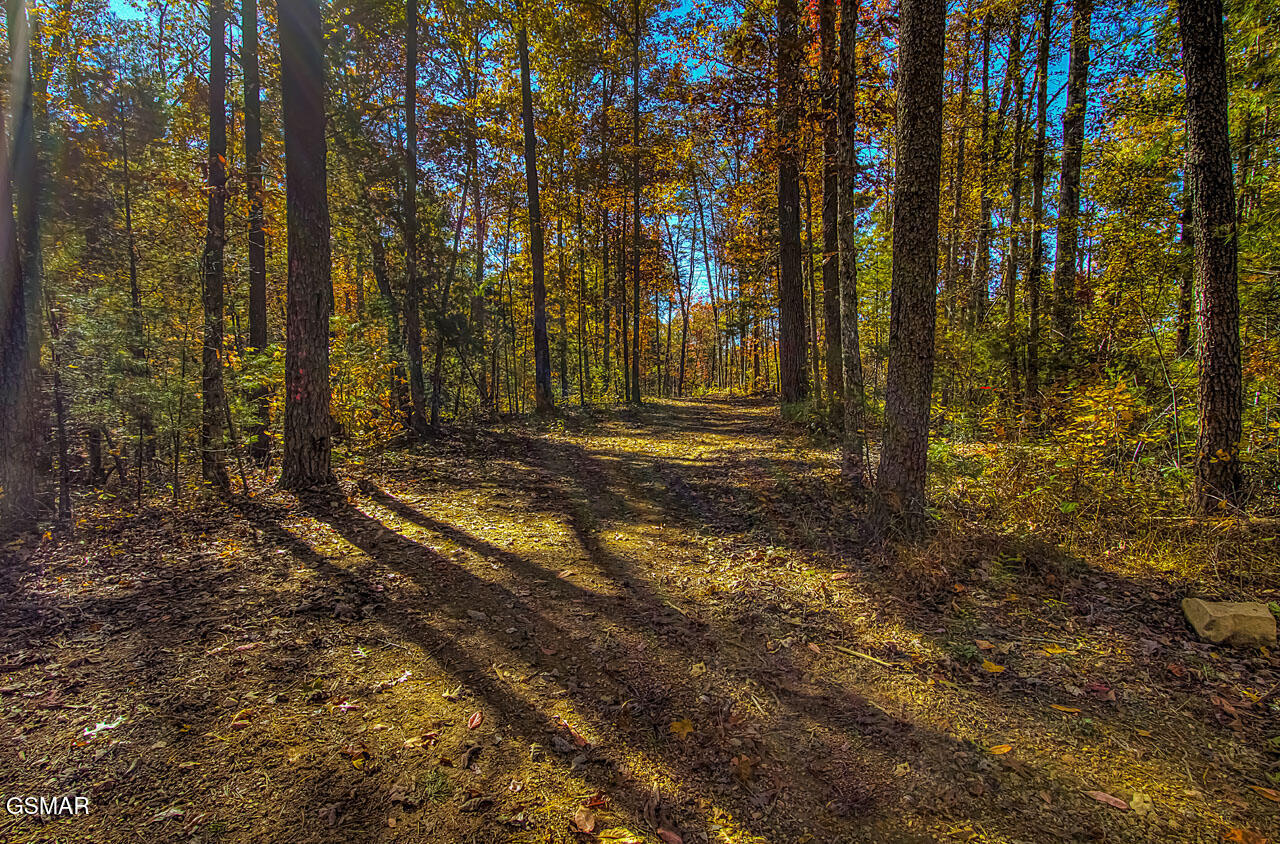 1968 E Millers Cove Road Walland TN 37886