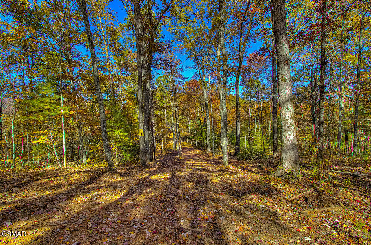 1968 E Millers Cove Road Walland TN 37886