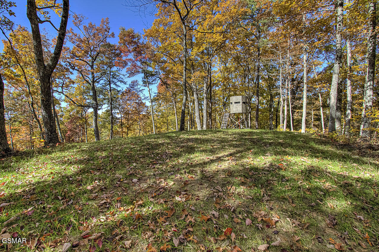 1968 E Millers Cove Road Walland TN 37886