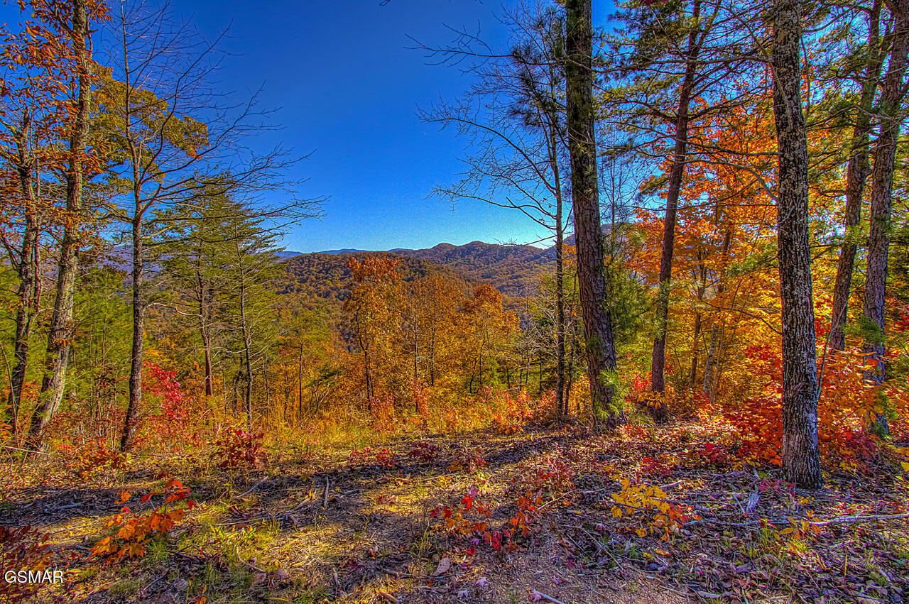 1968 E Millers Cove Road Walland TN 37886