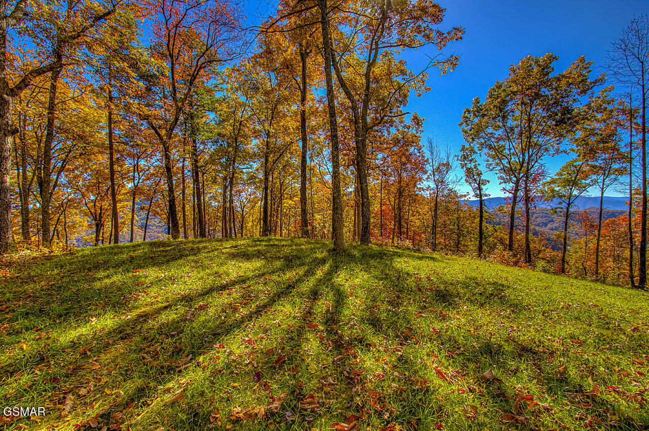 1968 E Millers Cove Road Walland TN 37886
