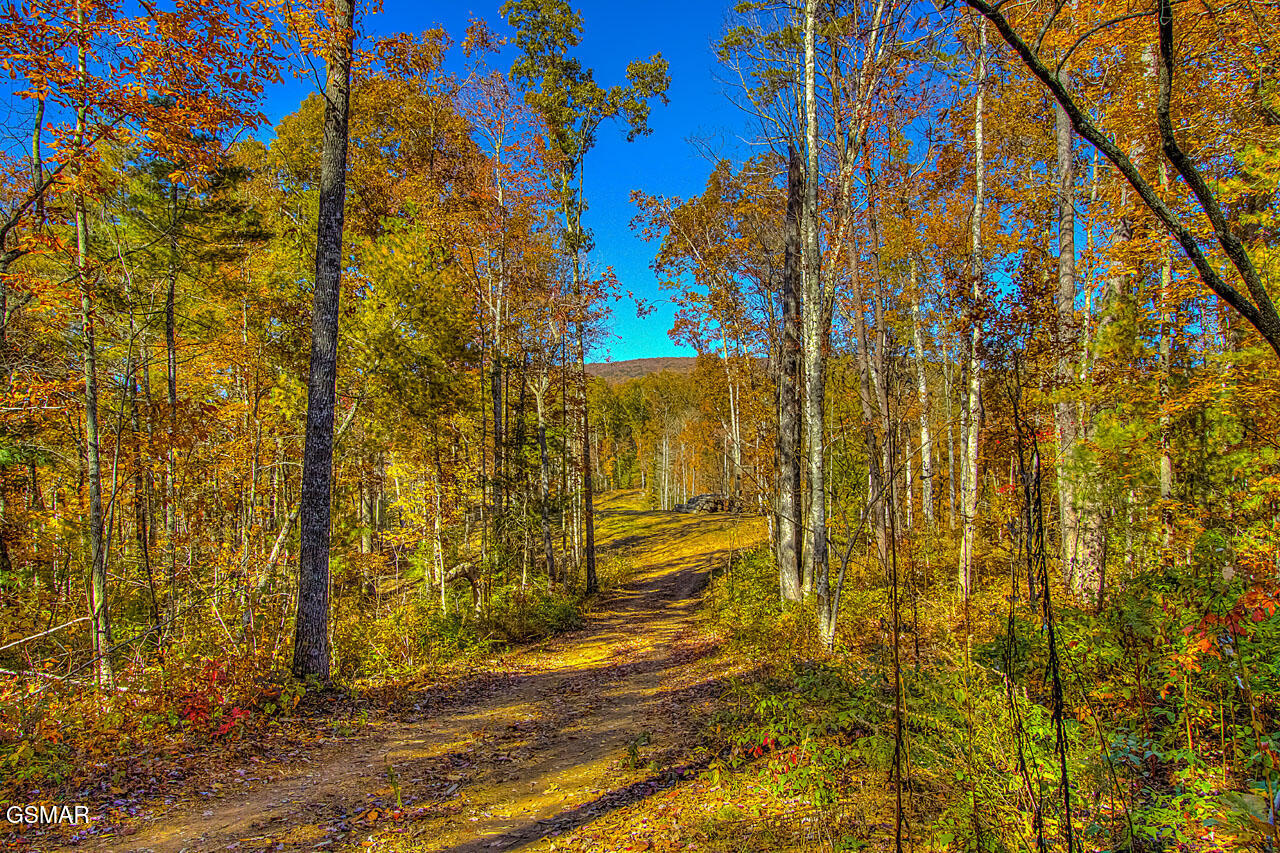 1968 E Millers Cove Road Walland TN 37886
